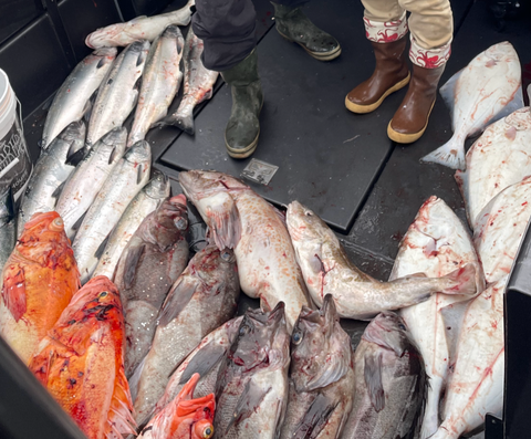 MULTI DAY / MULTI SPECIES FISHING